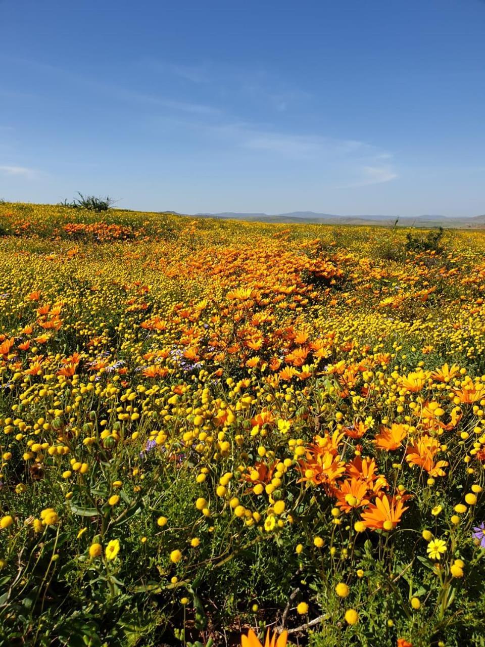 Namaqualand Eco Lodge Soebatsfontein Exterior foto